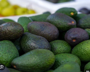 Aguacate