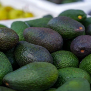 Aguacate