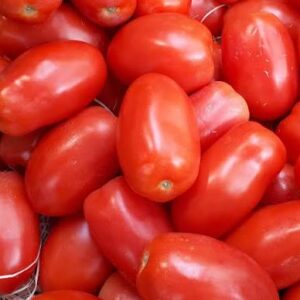 Tomate